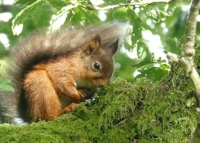 Apartamento District, Mountain Views, Accessible Bothy *