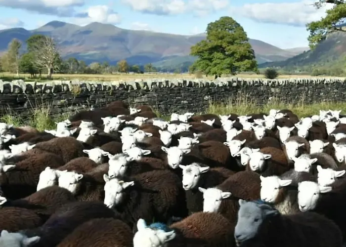 District, Mountain Views, Accessible Bothy Apartamento *