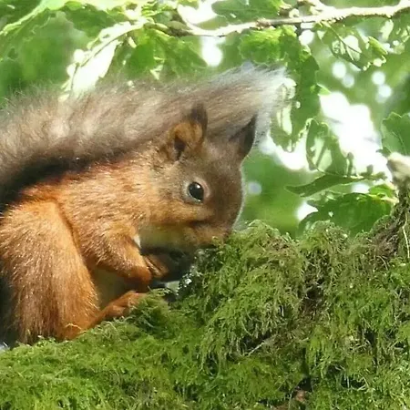 شقة District, Mountain Views, Accessible Bothy *